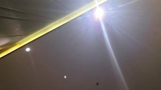 G 一生所愛羊蛋