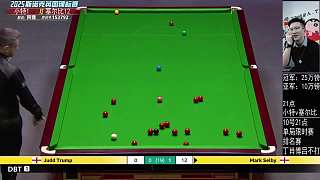 直播-決賽-小特塞爾比-英錦賽