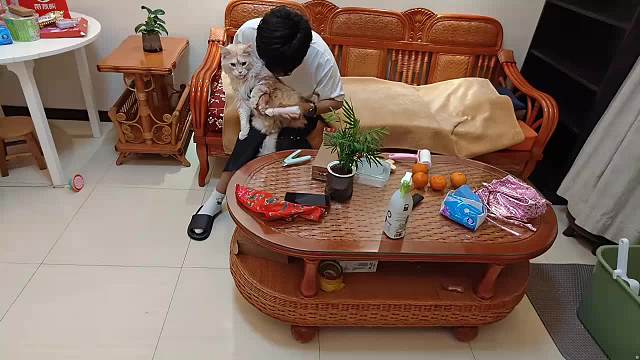 KSG一笙王者榮耀重播_KSG一笙視頻重播 - 虎牙直播