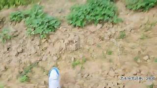 杭州相遇798