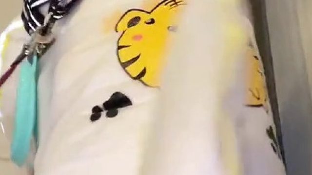 小狗也是有自尊心的，经不起人类的嘲笑