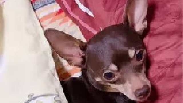 小弟：以后再有这样的事我很乐意帮忙