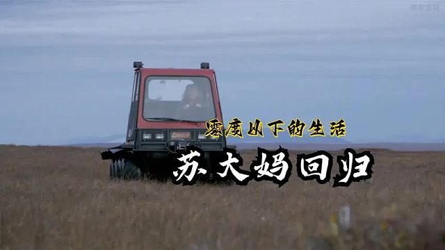 零度以下的生活：苏大妈回归追踪一头棕熊准度稳定发挥