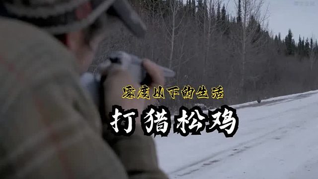 零度以下的生活：杰西驾驶皮卡前往阿拉斯加路途狩猎松鸡当晚餐