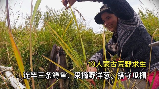 10人蒙古荒野求生，连竿3条野鲫鱼、采摘野洋葱、搭建守瓜棚