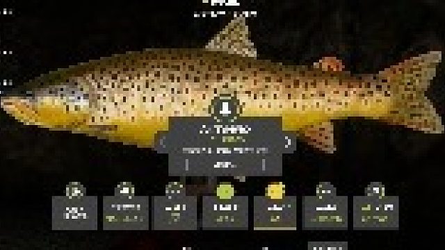 白河深夜超轻大战星尊