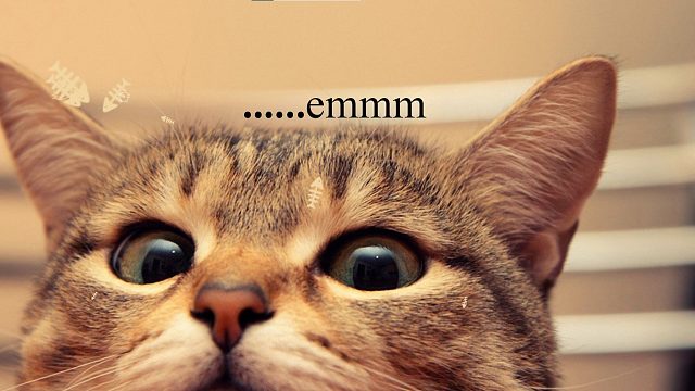 敌动我不乱动，看他怎么动。