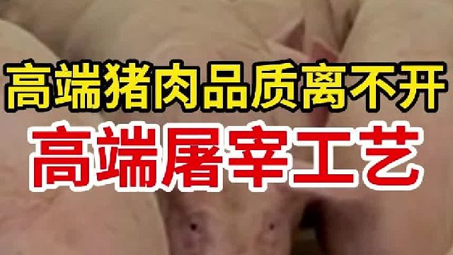 高端猪肉品质离不开高端屠宰工艺——扬翔盈康屠宰场！