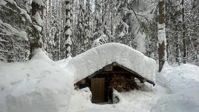 原始森林深处的地下奇迹，被暴风雪彻底掩埋，里面居然出奇的温暖