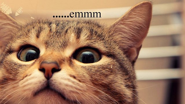 打铁已经很棒却过不了，说明是少了什么。