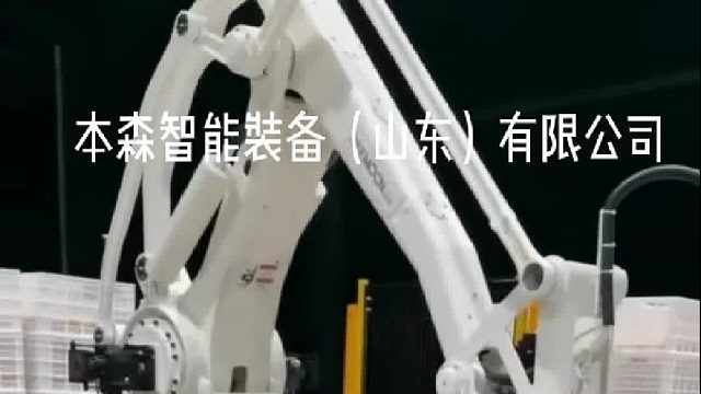 塑料筐码垛机器人 工业自动化输送线
