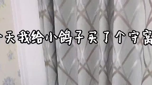 因担心鸽子晚上自己睡觉害怕，善良好心人为其准备了保镖…