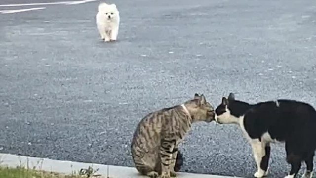 哈哈哈这也太没眼力见了吧