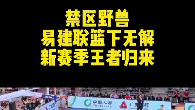 新赛季阿联归来!这样的配合你喜欢看吗