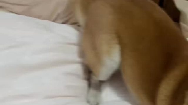 我以为他去洗脚了