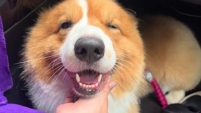 拨到痒痒筋了么