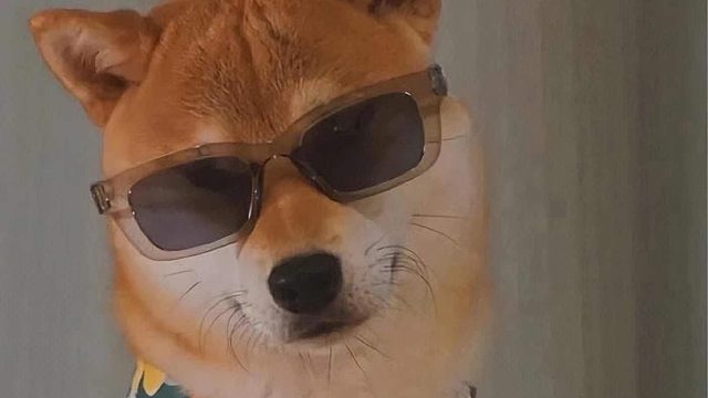 开摆，开摆！！