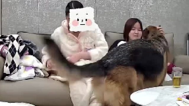 心机小狗！有仇当场就报！