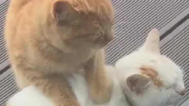 你想干什么？？