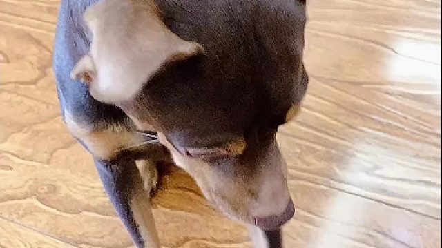 我后悔了 本来以为它还能再拿点钱的 没想到 哎。。。。