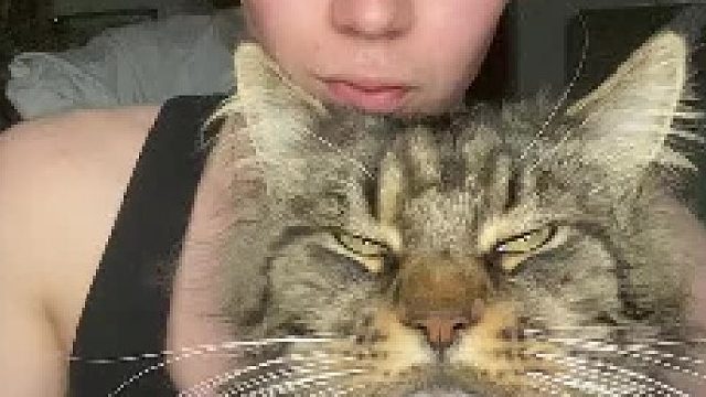 关于“主人和猫会越长越像”这件事