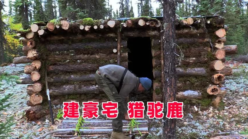 10人荒野求生，大佬捕获猎物不敢吃，妹子吃草挨饿建豪宅，纪录片