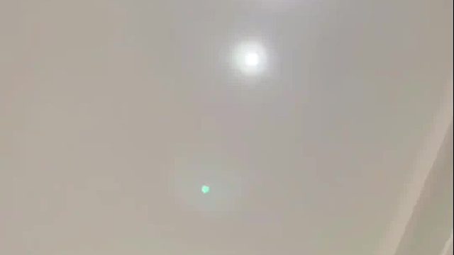 早上醒来不想起床千万不要跟猫猫对视