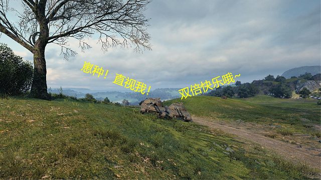 【坦克世界】颈椎病703工程II型如何双排整活大闹韦斯特菲尔德？