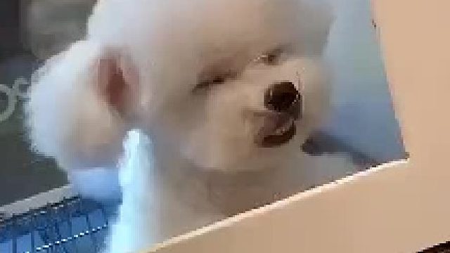 睡觉被老师惊醒的样子