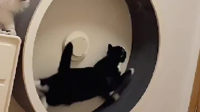 知道了麻麻！已经跑冒烟了！