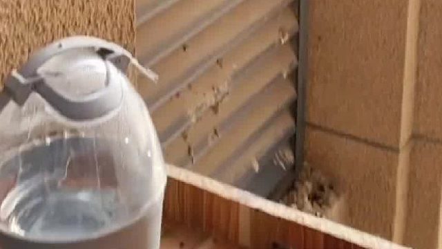 我又给小鸽子更新吃饭的设施了！其他地方还有欠缺吗？