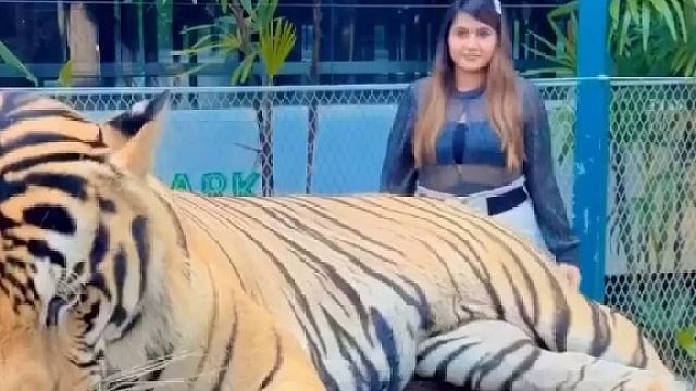 有个合影失败的，哈哈小姐姐吓坏了