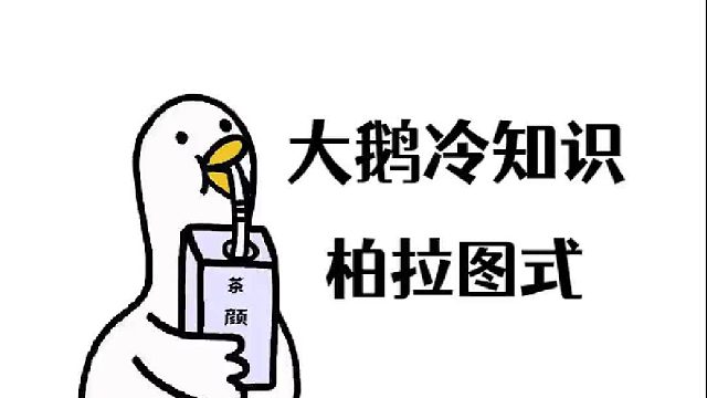 柏拉图说：你根本不懂爱