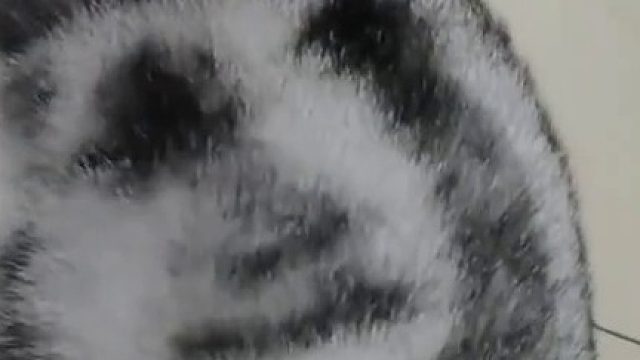 哈哈哈，这个花纹有点意思