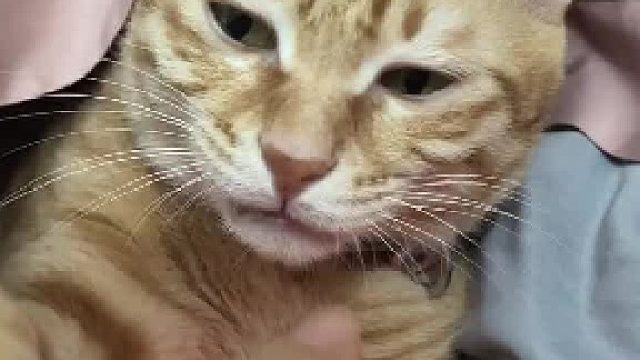 有时，我真的不太懂它…