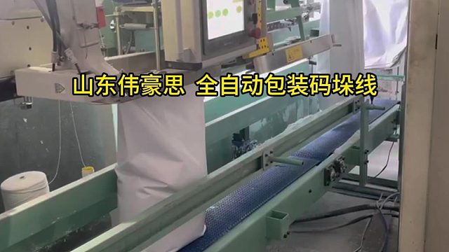 广东包装码垛机供应商 煤粉全自动包装码垛线