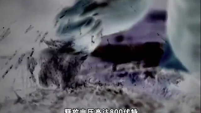 世界上最致命的河流，曾杀死300多人，一旦掉下去活不过1分钟2
