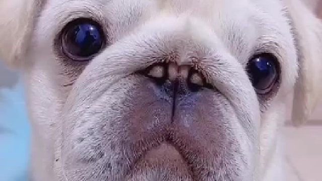 幼儿园毕业了！