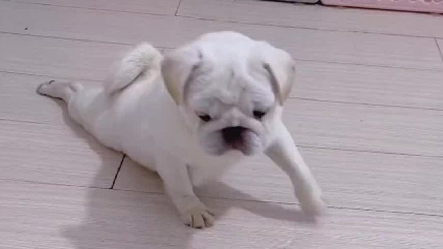 啥也不说了，我数钱去了！