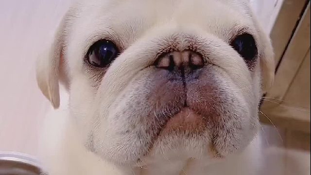 红包是够呛了，整不好的弄一脑袋包！