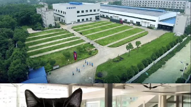 快上车带你去大板瓷砖胶十大名牌固莱考察