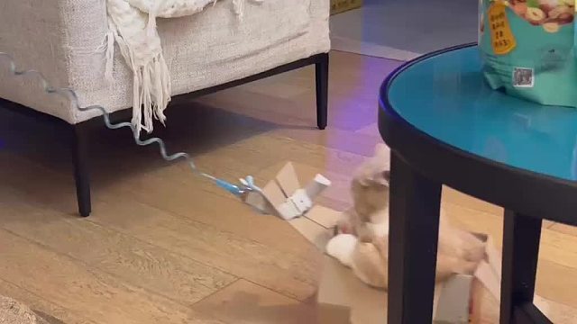 老登，搞快点，加速加速