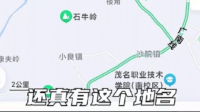 你奶奶裤衩有朵花~