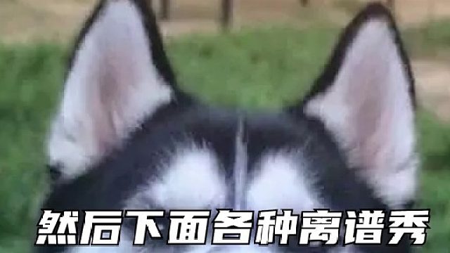 9块钱的起送费啊