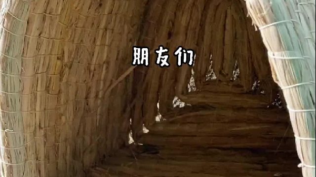 论一个备胎的自我修养，我悟了…