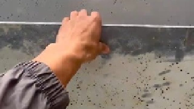 爬桥详细讲解视频！