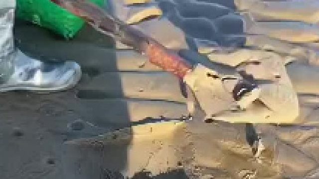 这也太多了吧！