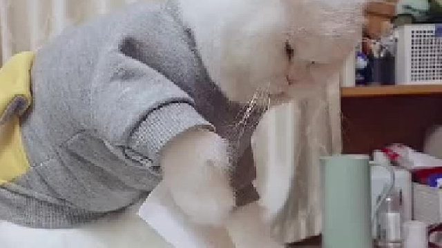 它怎么知道要反过来啊