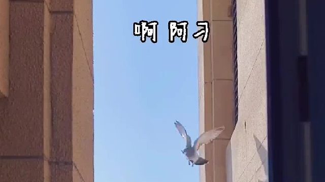 我本将心向明月，奈何明月照沟渠