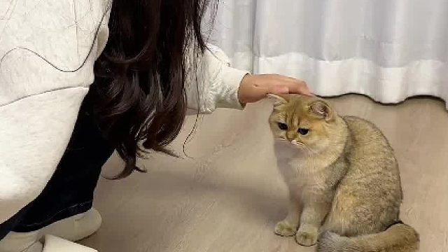 好家伙特意来我家欺负现眼包是吧，我的孩子只能我欺负！